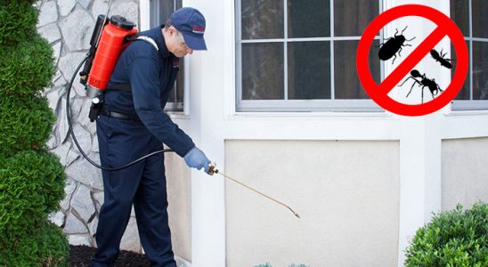 Ekinözü Fare İlaçlama böcek ilaçlama ve haşere kontrolü — ilaclama-tr.com